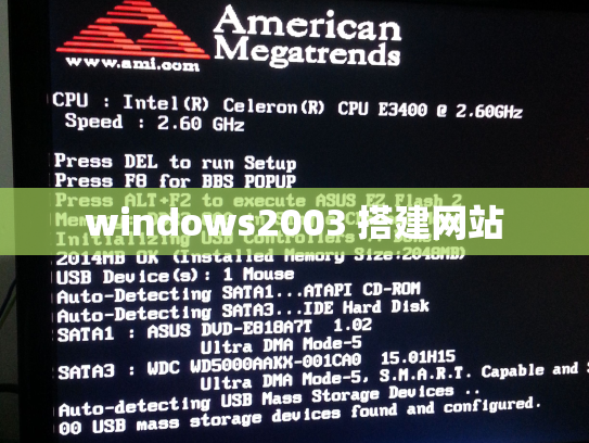 windows2003 搭建网站