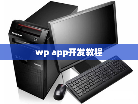 wp app开发教程