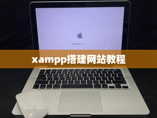 xampp搭建网站教程