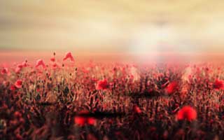 币圈九大交易所分享 附图 币圈几大交易所